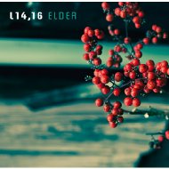 L14 16/Elder