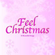 Various/Feel Christmas