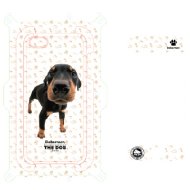 iPhone5 [Doberman] the dog case with film