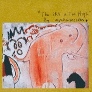 GRAHAM COXON「The Sky Is Too High」 Sky Is Too High : Graham Coxon | HMV&BOOKS online - TOCP-54386
