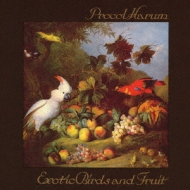 CD Procol Harum Exotic Birds And Fruit +2 (HQCD) VICP75098PROMO VICTOR 紙ジャケ プロモ /00110 CD Procol Harum Exotic Birds And Fruit +2 (HQCD