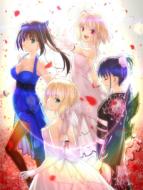 TYPE-MOON Fes.-10TH ANNIVERSARY Blu-ray Disc Box-[Limited Manufacture Edition]