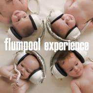 flumpool/Experience (+dvd)(Ltd)