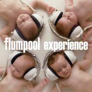 flumpool/Experience