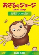 Curious George Dvd-Box