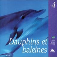 Various/Dolfijnen En Walvissen