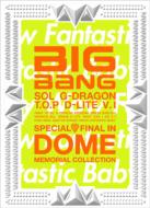 SPECIAL FINAL IN DOME MEMORIAL COLLECTION (CD+DVD+GOODS)[First Press Limited SPECIAL BOX]