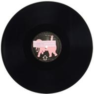 Intriguing Feathered Creature