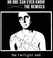No One Can Ever Know (Remixes)