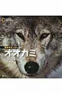 オオカミ ナショナルジオグラフィック動物大せっきん : ジム