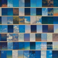 Tindersticks/Live In San Sebastian 2012