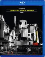 ӥ塼͡1973-/Possible Cities Essential Landscapes Eggen / Cikada Ensemble (Hyb)(+brd)