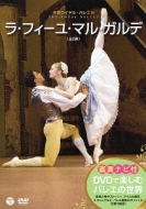 La Fille Mal Gardee(Herold): Nunez Acosta Tuckett Royal Ballet