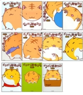 �|���|���ώ@���L 1-11 �S���Z�b�g �o���u�[�R�~�b�N�X