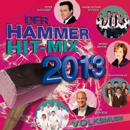 Various/Der Hammer Hit-mix 2013