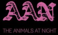 Animals At Night