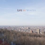 Life In Winter
