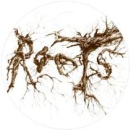 Roots