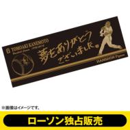 �yl����z���{�m�� �������A���^�I��(B)[2��ڎ�t]