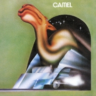 Camel +2