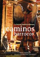 Baroque Classical/(Pal-dvd)caminos Barrocos-les Chemins Du Baroque Garrido / Ensemble Elyma