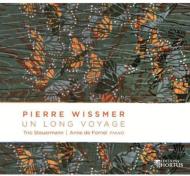 Un Long Voyage-chamber Works: Trio Steuermann