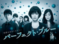 Miyabe Miyuki Mystery Perfect Blue Dvd-Box