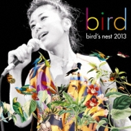 Bird`s Nest 2013