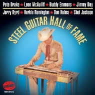Various/Steel Guitar Hall Of Fame