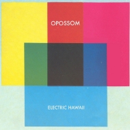 Opossom/Electric Hawaii