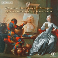 Ouvertures Pittoresque: Gester / Art Of The Players