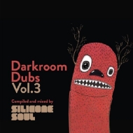 Various/Darkroom Dub Vol 3 (Compiled  Mixed By Silicone