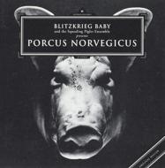 Porcus Norvegicus