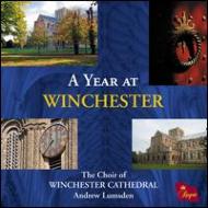 羧ʥ˥Х/A Year At Winchester Lumsden / Winchester Cathedral Cho
