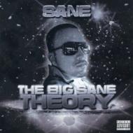 Big Sane Theory