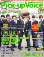 Pick-up Voice 2013 April