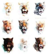 Von Hertzen Brothers/Nine Lives