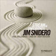 Jim Snidero/Stream Of Consciousness