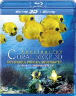 Fascination Coral Reef 3d -Mysterious Worlds Under Water