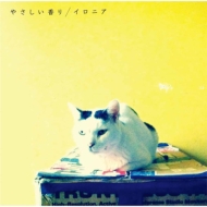 ˥/䤵