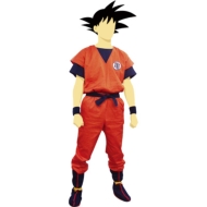 �h���S���{�[�����@�T�嗬�����@[L]