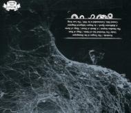 Novit Enim Dominus Qui Sunt Eius April 08