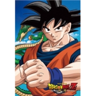 Db �W�O�\�[�p�Y��(�ŋ��A�n���B)[2���]