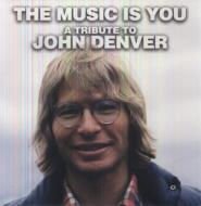 Music Is You: A Tribute To John Denver (2LP)(180Odʔ)