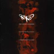 Bright Celestial Light