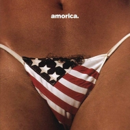 THE BLACK CROWES/Amorica