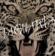 Ȫƻ/Jaguar '13