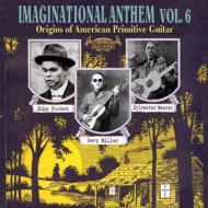 Various/Imaginational Anthem Vol.6 Origins Of American Primitive
