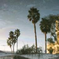 Generation Landslide