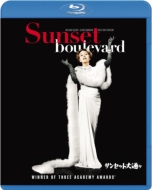 Sunset Boulevard